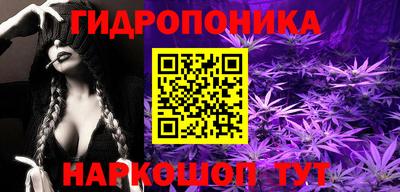 эйфоретик Будённовск